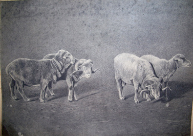 Mouton Frolant