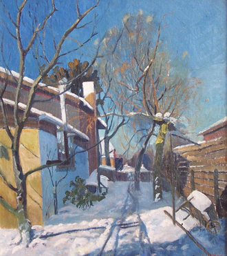 Backyard Snow