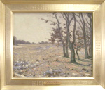 forest landscape